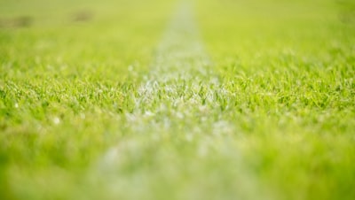 هل توتنهام في الدوري الانجليزي؟
